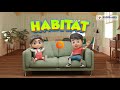 Animal Habitats and Characteristics
