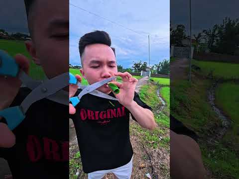 Trò chơi tuổi thơ : kèn lá chuối 🥳 ! Ai đã từng chơi ? #shorts