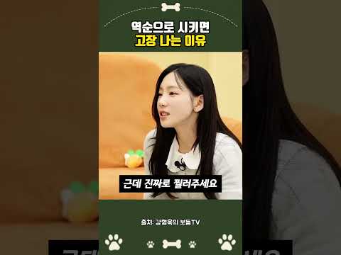 역순으로 시키면 고장 <strong>나는</strong> 이유 #강형욱