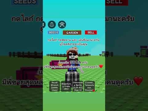 แจกเงิน 90QA ครับ ❤️ เม้นชื่อ กดไลก์ กดติดตาม #roblox #growagarden #ฟีดเถอะ #แจก