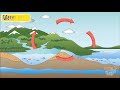 Water Cycle and Freshwater Conservation