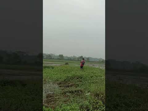 വലിച്ചുകയറ്റിയ വഴി മീൻ വിട്ടു പോയി