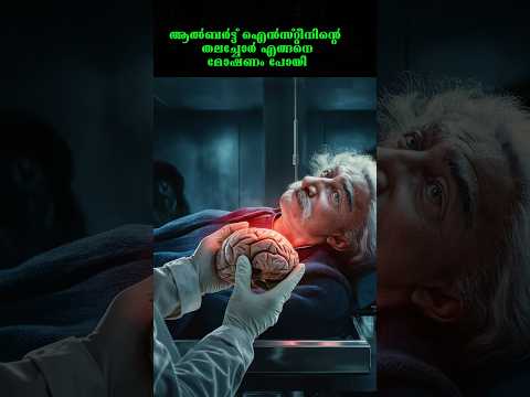 Why Albert Einstein's Brain was cutted into 240 Pieces