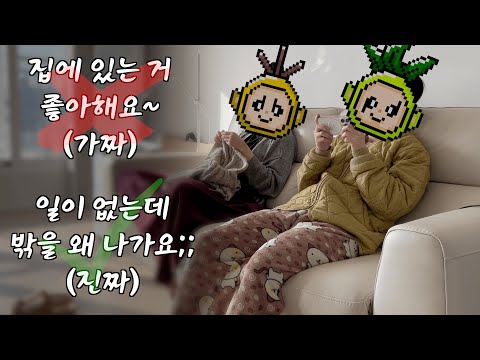 리얼 집돌순이 판교 개발자 부부의 잔잔함 치사량 완벽한 휴일 (하루종일 뜨개질만 하는 뚜부인)
