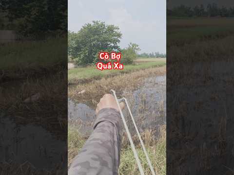 Mọi người đoán xem khoảng cách bao xa nha... #còbợ #slingshot #tuấnnhaydi