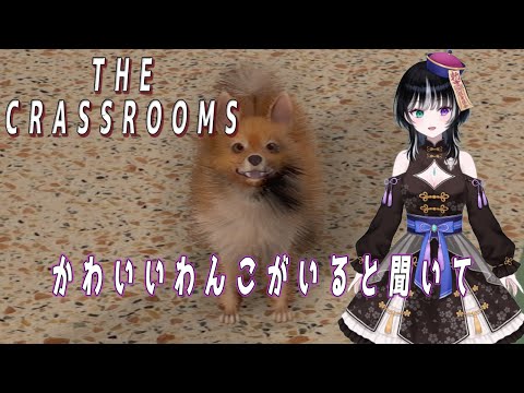 thumbnail_r-vwrTCncmg