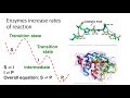 Enzyme Catalysis and Reaction Energies