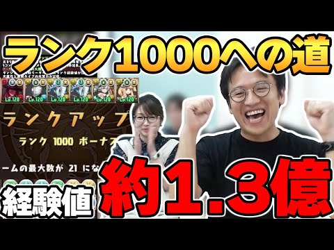 【パズドラ攻略】ソロランク上げ周回おすすめパーティー紹介!!【シルヴィア/スパイファミリー】