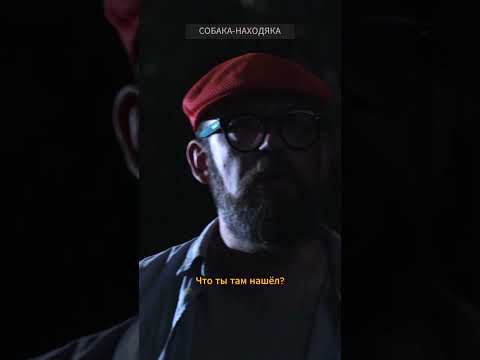 Собака-находяка #золотаякровь #Чертолье #детективнаямелодрама #shorts #сериал #детектив