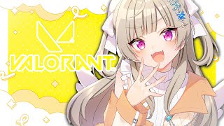 【 VALORANT 】本日もふるP【 ぶいすぽっ! / 小森めと 】