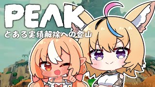 【PEAK】フレアと実績解除🪦目指して・・・メサの墓地へ！！！ #フレポル  【尾丸ポルカ視点/ホロライブ】