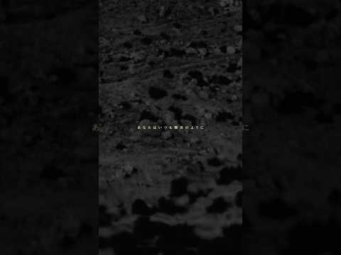 「KAGEROU」 2025.06.18 『Pulsatilla cernua』 配信中 #清水翔太 #Pulsatillacernua #KAGEROU