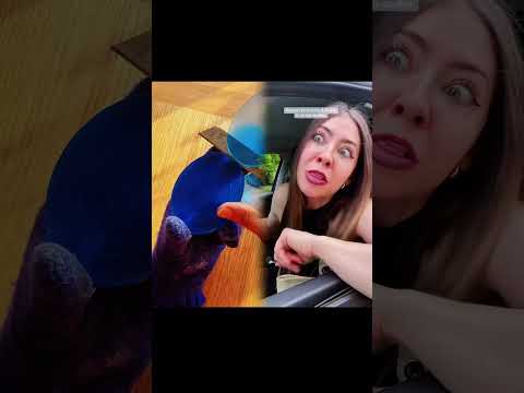 Bonnes vacances à la zone A ! Et bon courage à la zone B 😂 #humour #pourtoi #foryou