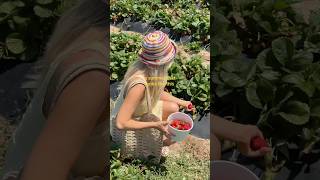 June in SoCal 🧚🏻 #sandiegovlog #springdiaries #cozyvlog #sewingprojects