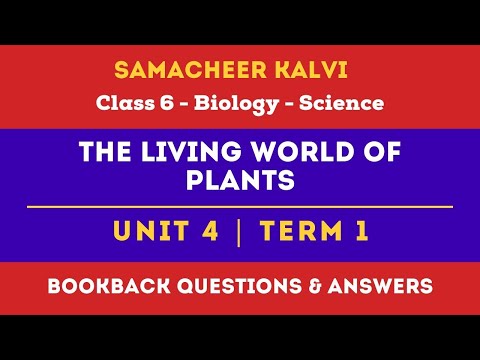 The Living World of Plants Book Back Answers | Unit 4  | Class 6 | Science | Samacheer Kalvi