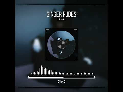 GINGER PUBES - BAKAR (VISUALIZER) SPED UP SONG