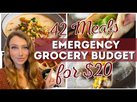 42 Meals for $20 | Emergency Grocery Budget Meal Plan Ideas | Mountain Momma Living