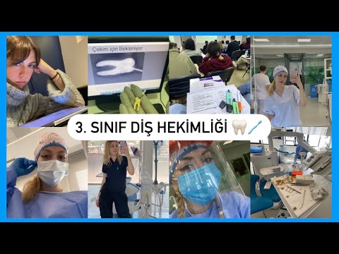 Tüm 3. Sınıf Diş Hekimliği Sürecim *Fotoğraflarla 🦷