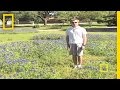 Exploring Colleyville and Sustainable Practices