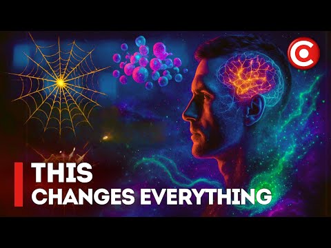 The craziest scientific discoveries you missed in 2024