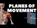 Planes of Movement in Human Anatomy