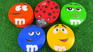 5 Minutes Satisfying with Rainbow M&M'S Candies Unpacking From Glossy Containers ASMR Slime Surprise