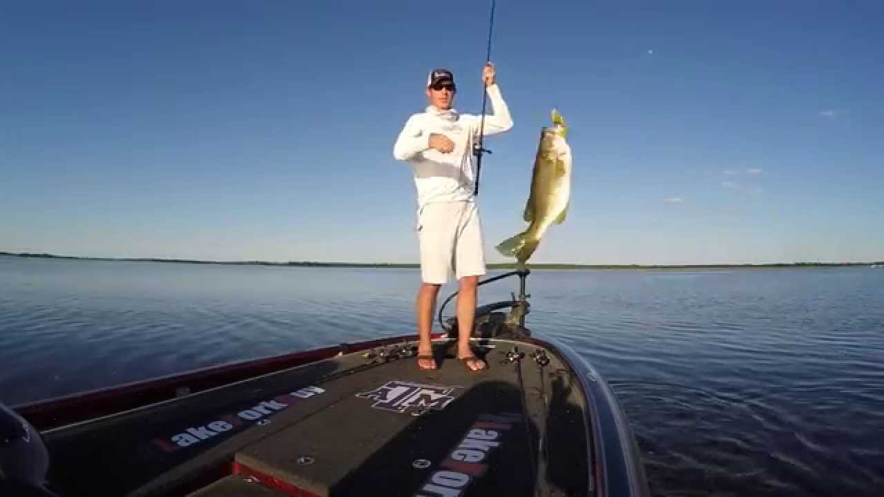 Shimano Zodias Rod Test #60