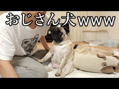 親知らず抜きました…感想を話します！