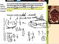 Creating and Solving Multi-Step Equations