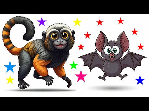 Amazing Animal Adventures: Coolest Creatures! 🐸🦇🐔🦥