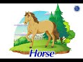 Vietnamese Animal Vocabulary and Phrases