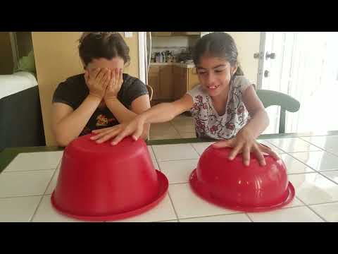 Good or Bad food challenge ft. My cousin Candy🤗