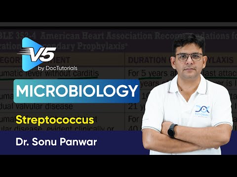 Microbiology – Streptococcus Pyogenes - Sample Video by DocTutorials V5