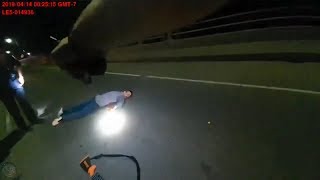 Polícia Americana VS Criminosos #46