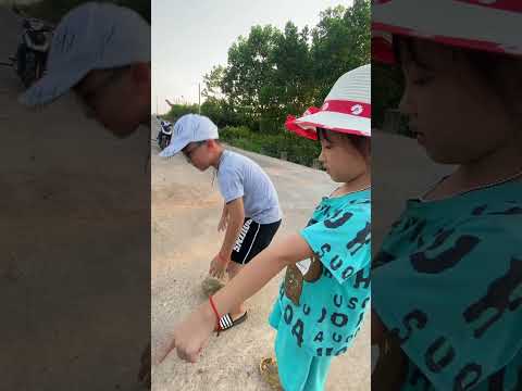 khổ thân chú cò gãy chân và cô bé tốt bụng #shorts