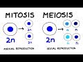 Exploring Sexual and Asexual Reproduction Strategies