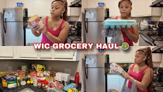 Daily life with Zanadia 💕| WIC grocery haul | What we got this month! 🛒