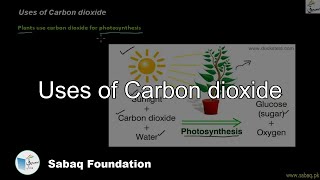 Uses of Carbon dioxide
