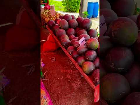 Mauritius Ke Aik Fruit Stall Par Rang Barangy Phal #mauritius #mauritiuscountry #hafiztahirqadri