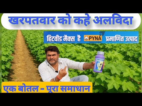 Cotton Farming की सबसे बड़ी समस्या? अब मिलेगा एक ही बोतल में पूरा समाधान – Hitweed Maxx
