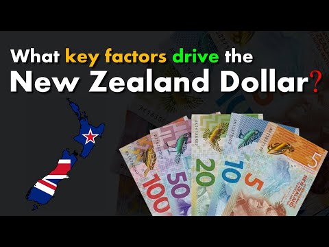 What key factors drive the New Zealand Dollar? | New Zealand Dollar | NZD | Kiwi | #forex