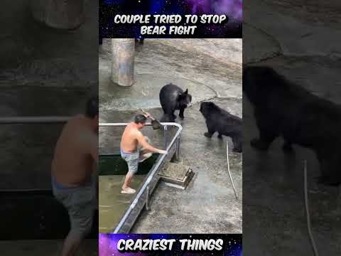 Zoo keepers try to stop bear fight | Craziest Things Part 160