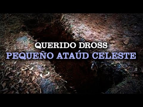 QUERIDO DROSS: Pequeño Ataúd Celeste