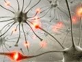 Understanding How We Learn