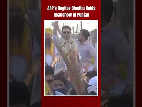Lok Sabha Elections 2024: Raghav Chadha Holds Roadshow In Punjab Ahead Of 7th Phase Of LS Polls