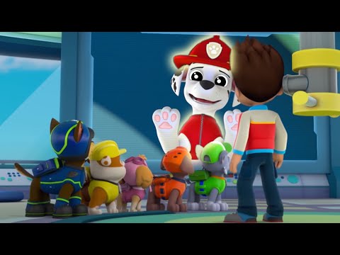 PAW Patrol Mighty Pups+Skye+Chase Save Adventure Bay! Compilation 24   Nick Jr. HD