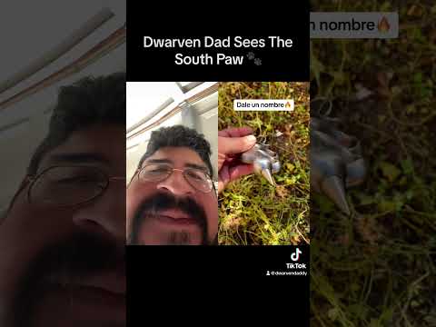 Dwarven Dad Reviews Paw Knuckles