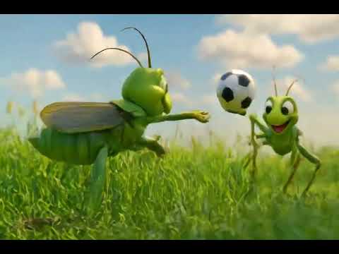 Con cào cào rất thích thể thao