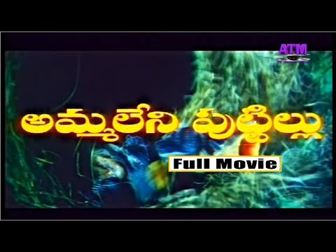 "Ammaleni Puttillu" Telugu Full Movie | Ooha | Shashi Kumar | Super Hit Movies | All Telugu Movies