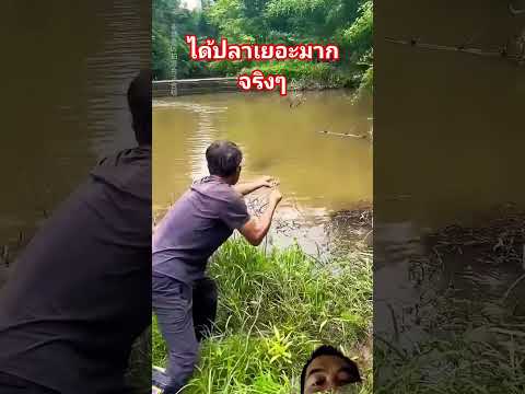 เขาดักปลาได้เยอะจริงๆ